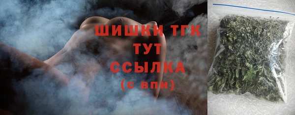 хмурый Бородино