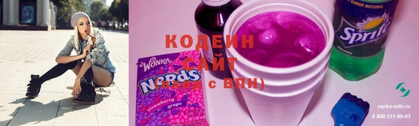 хмурый Бородино