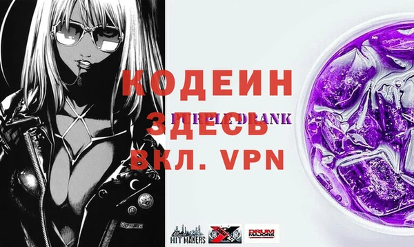 хмурый Бородино