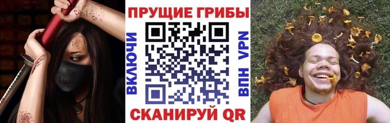 что такое наркотик  Заинск  Галлюциногенные грибы Psilocybine cubensis 